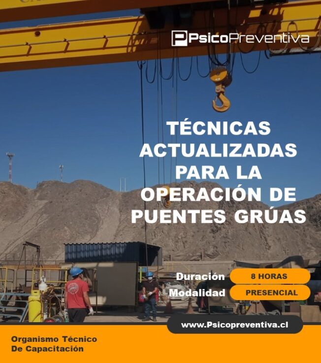 Técnicas Actualizadas De Operación Segura De Puentes Grúas