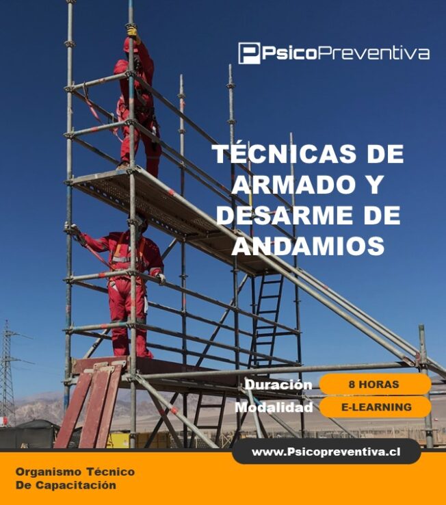 Técnicas de Armado y Desarmado de Andamios Elearning