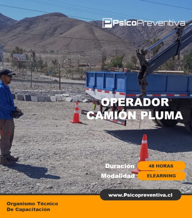 Operador Camión Pluma Elearning