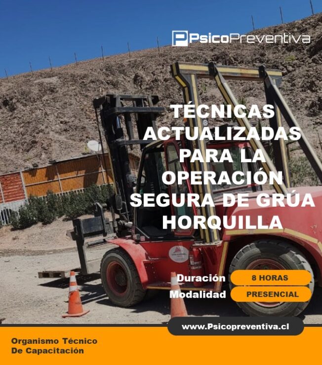 Técnicas Actualizadas Para Operación Segura De Grúa Horquilla